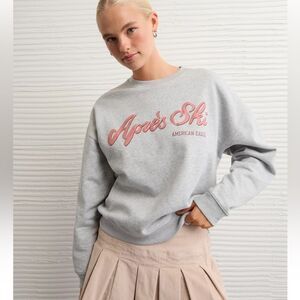 AE L Grey Pink Graphic Apres Ski Crew Relaxed Cotton Sweatshirt